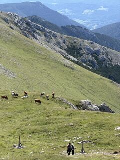 Photo de Marcus Krenn le long du parcours
