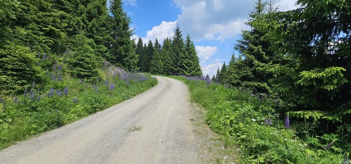 Fotografia z Michael Ganswind na trase