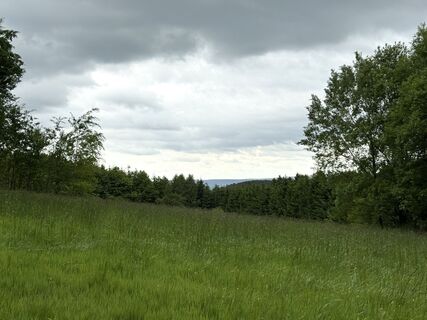 Photo de Norbert Herbig le long du parcours
