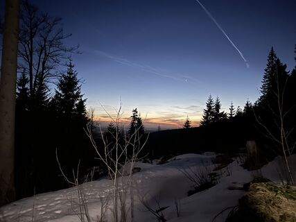 Fotografija s spletne strani Natur_erleben_dg na poti