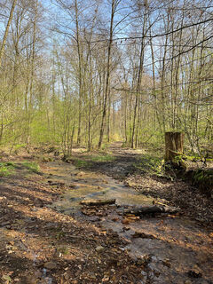 Am Osterbach Naturpark Reinhardswald