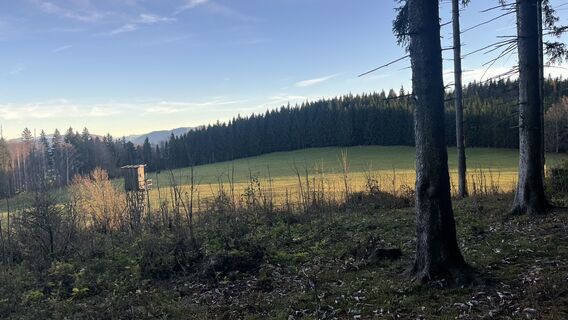 Foto de Sabine Offenberger a lo largo del recorrido