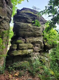 Foto de shac a lo largo del recorrido