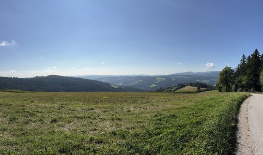 Foto de Raphael Höller a lo largo del recorrido