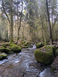 Foto da Apasara Apfelbach lungo il tour
