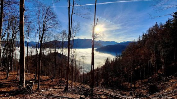 Photo de Regina Fleischmann le long du parcours