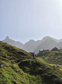 Fotografija s spletne strani Michael Hohlfeld na poti