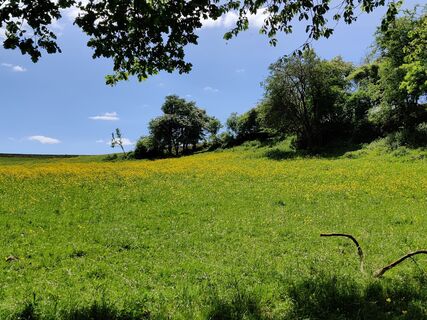 Foto von Hein Sleddens entlang der Tour