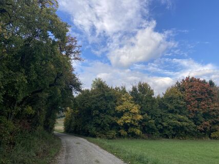 Photo de Reinhard S le long du parcours