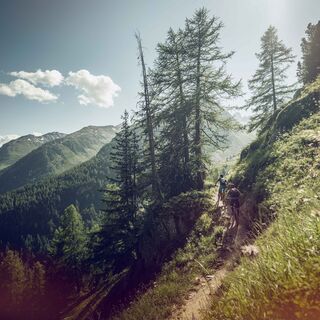 Mountainbiker im Lötschental, Bietschhorn Bike