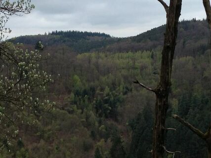 Blick zum Schmelzerkopf von der Kanzel