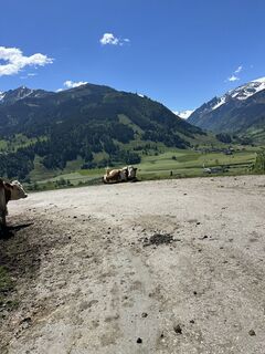 Fotografija s spletne strani Matteo na poti