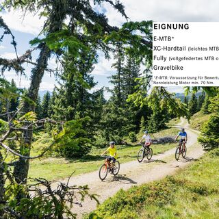 Drei Mountainbiker auf der Hochsonnbergrunde