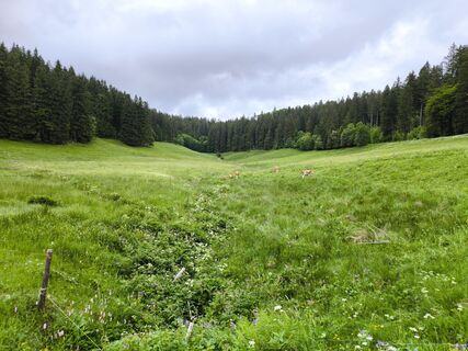 Fotografia z Dietmar Lüdenscheid ? na trase