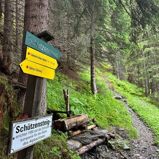Schützensteig Richtung Großer Galtenberg