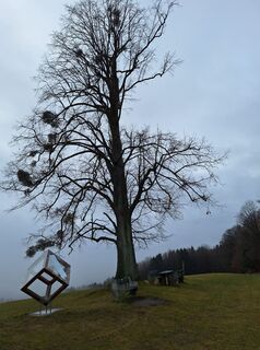 Zdjęcie z Mimi wzdłuż trasy