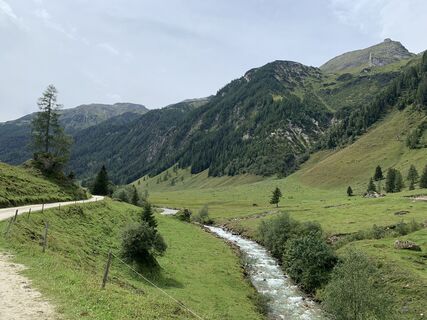 Foto von Koen De Wit entlang der Tour