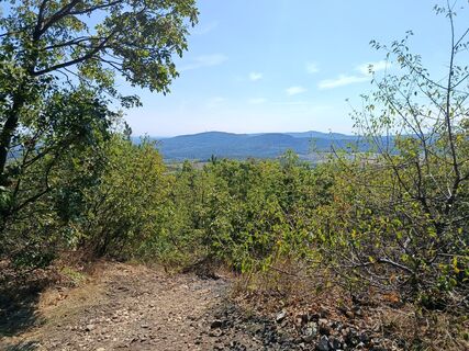 Photo de Révész Szabolcs le long du parcours