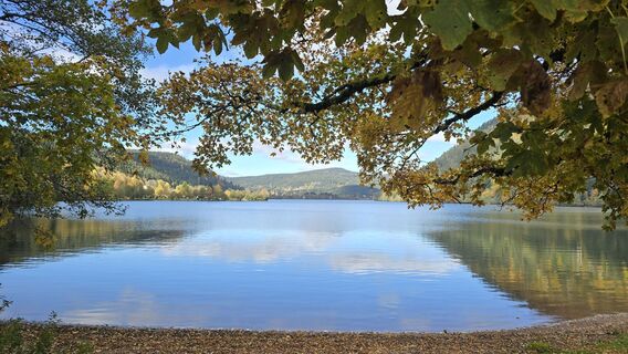 Fotografia z Katja Senkel na trase