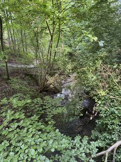 Foto von Reto Griner entlang der Tour