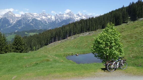 Kröllalm