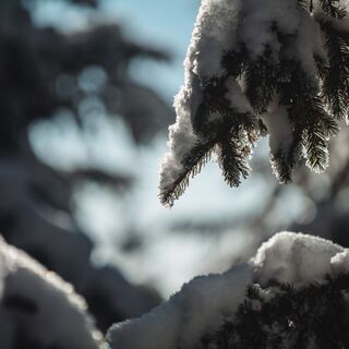 verschneite Winterlandschaft