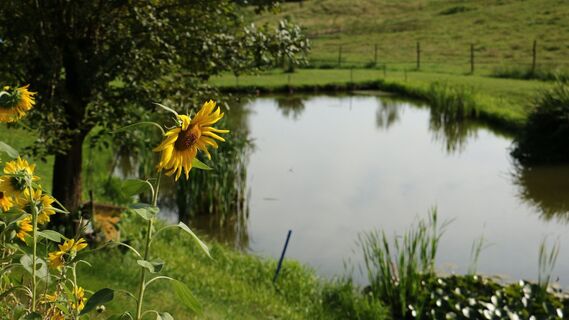 _TITELBILD_wasser HÖREN (c) MG Laßnitzhöhe (7).JPG