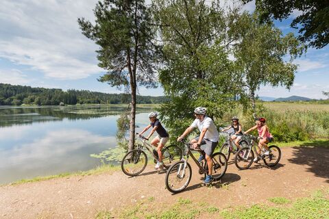 Familie mit dem Fahrrad am Gösselsdorfer See