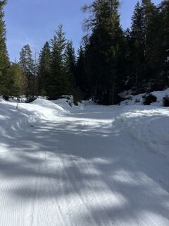 Foto von Heikoala entlang der Tour