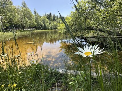 Photo de Natur_erleben_dg le long du parcours