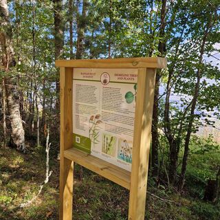 Päihäniemen Naturpfad