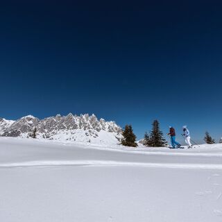 Schneeschuhwandern