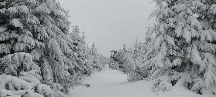 Foto de Sylwiasuchy76 a lo largo del recorrido