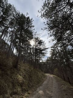 Foto de RS76 a lo largo del recorrido