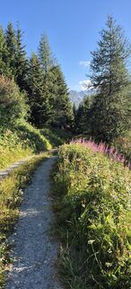 Foto von German Pauls entlang der Tour