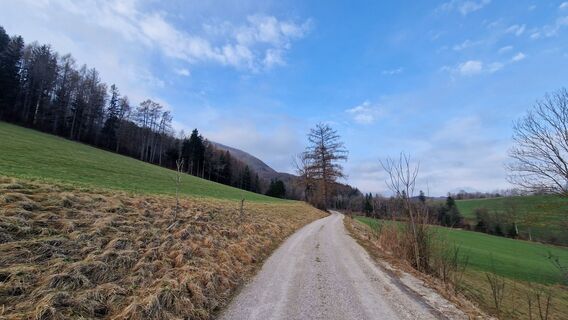 Fotografija s spletne strani EP87 na poti