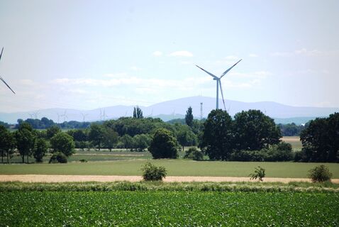 Blick auf den Harz