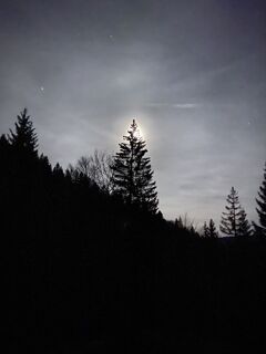 Fotografia z Sven Krieblin na trase