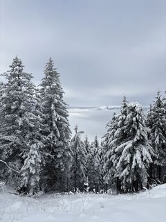 Фото с сайта Heinz Sperl во время экскурсии