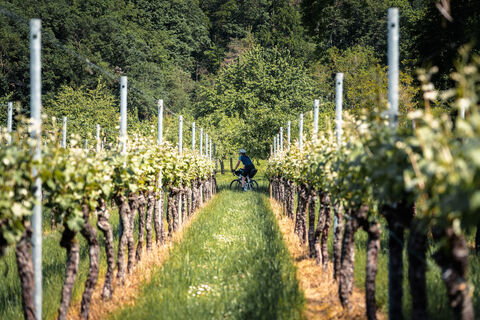 2023 Naturparke Gravel Crossing Etappe3 c SaddleStories at 5