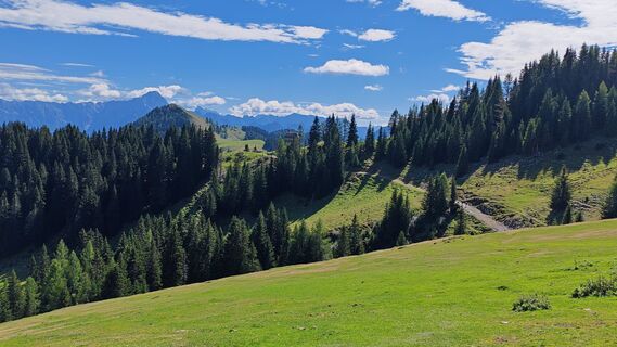 Photo de mitjavodeb le long du parcours