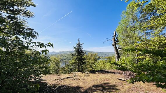 Photo de Eva T. le long du parcours