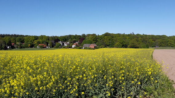 Syke_Wanderweg_Um die Siebenhäuser25.jpg
