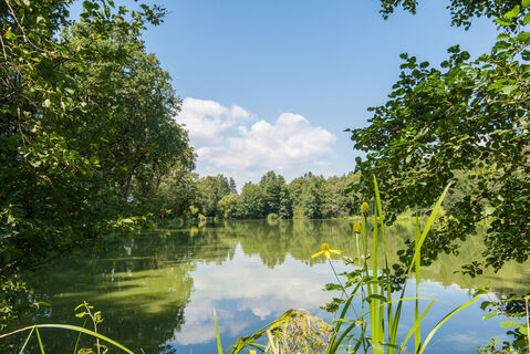 Winzendorfer Teiche in der Oststeiermark
