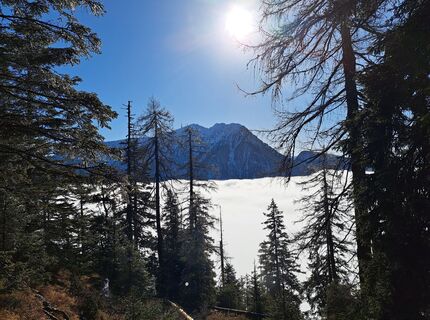 Foto von Daniela König 1 entlang der Tour