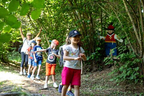 Durch den Wald am Hans im Glück Weg