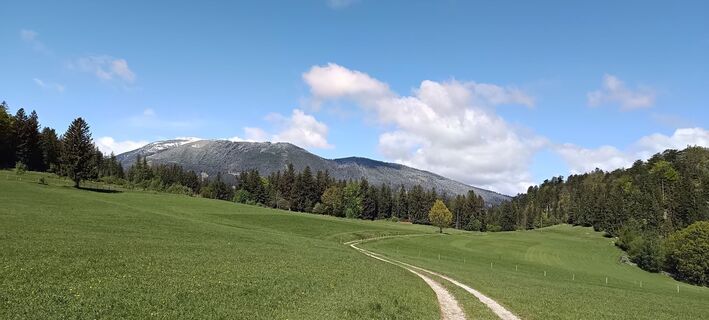 Foto von Bergpirat entlang der Tour