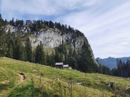 Am Weg zum Sandling über die Sandlingalm