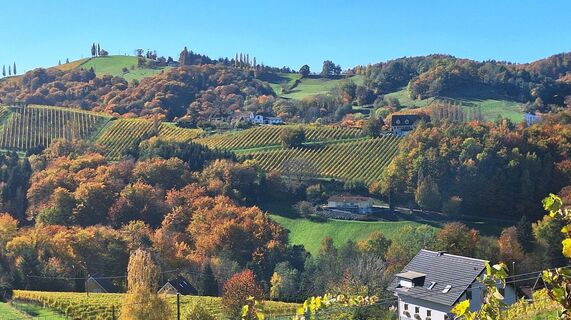 Fotografia z Karl Kriegseisen na trase