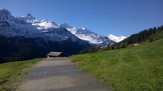 Blick von Gadastatt Richtung Zerfreila